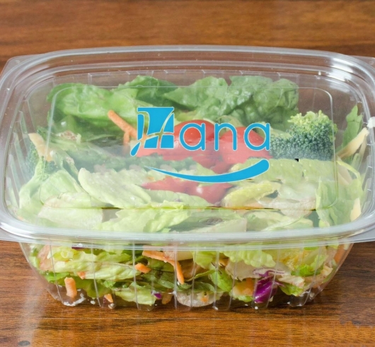 Hộp đựng salad