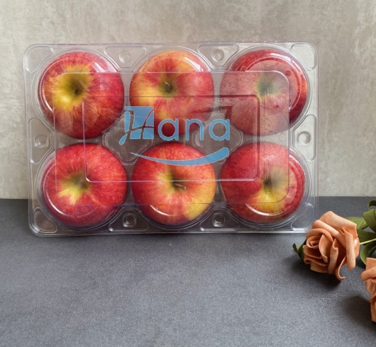 Hộp 6 trái táo - H88