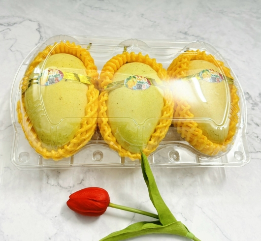 Hộp đựng 3 trái xoài VN