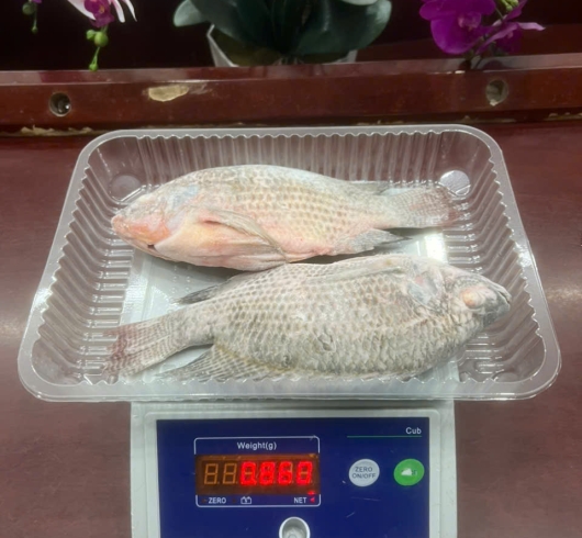 Khay hải sản – THS33